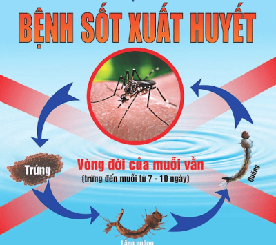 PHÒNG CHỐNG BỆNH SỐT XUẤT HUYẾT