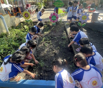 Làm thí nghiệm về sự phát triển của cây ở trường và làm thí nghiệm tại nhà, giúp bé thêm yêu cây xanh mình trồng và chăm sóc