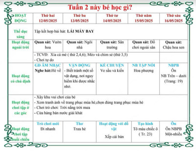 tuần 2 mùa hè của bé