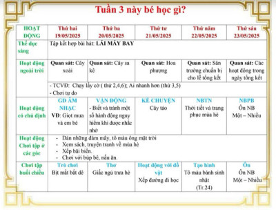 tuần 3 mùa hè của bé